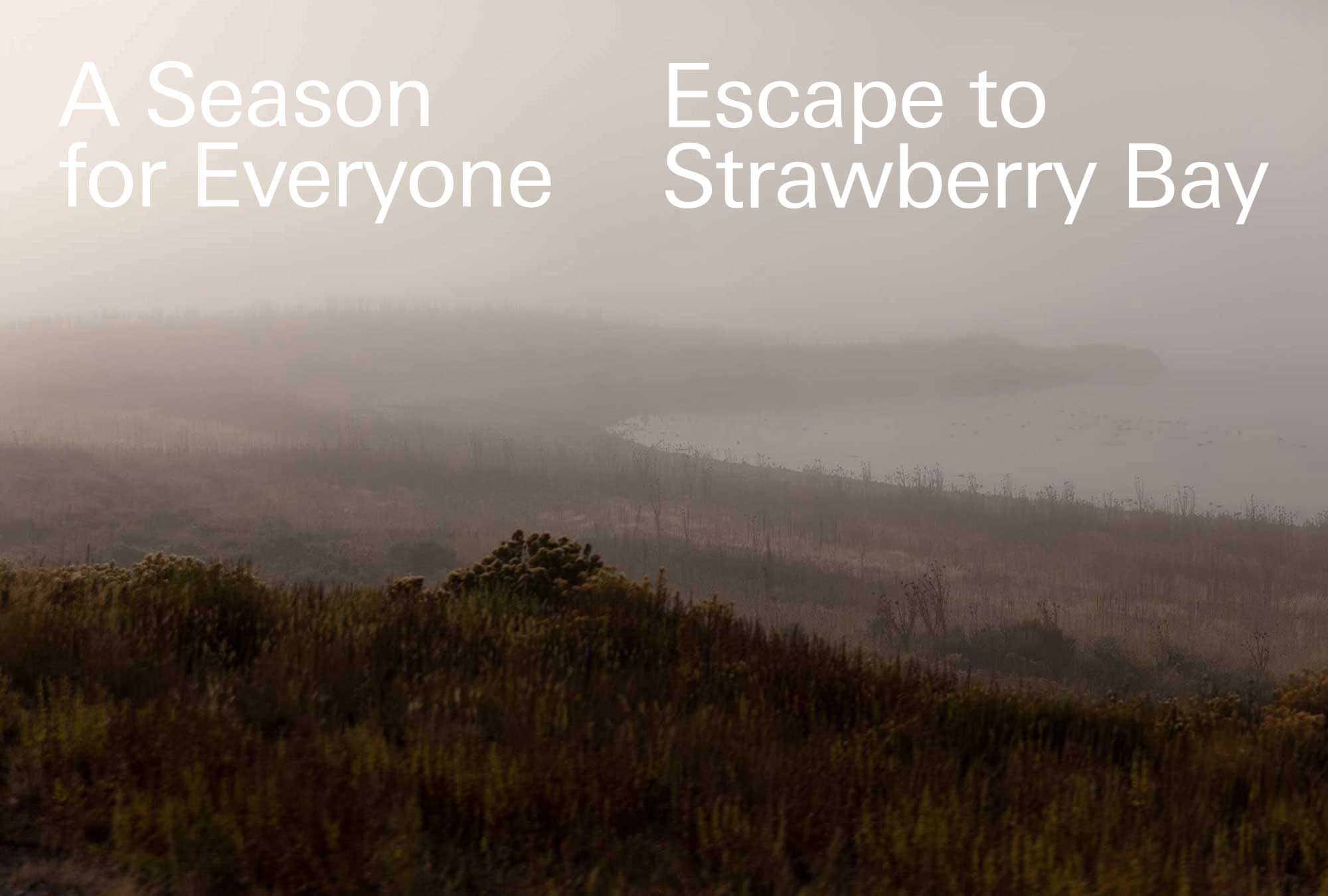 strawberrybay_strategy